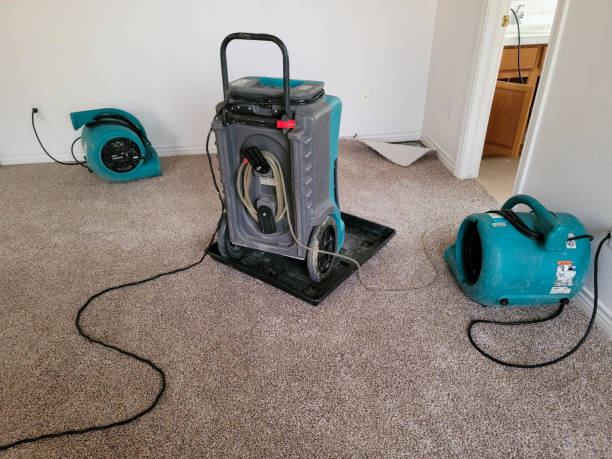 Best Water damage restoration near me  in Doral, FL