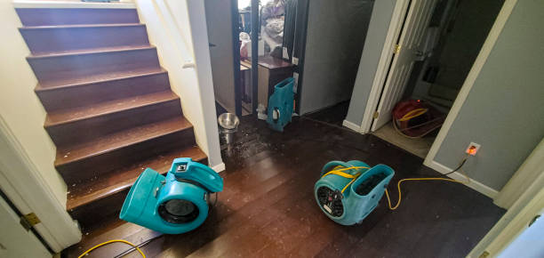 Best Emergency water damage restoration  in Doral, FL