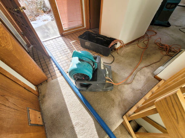 Best Flood restoration services  in Doral, FL