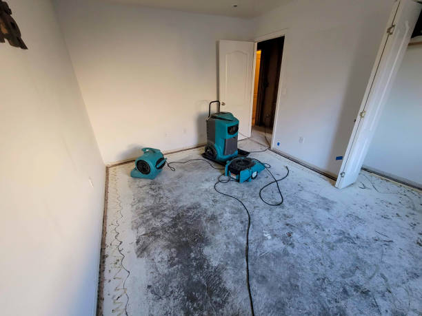 Best Water damage contractors near me  in Doral, FL