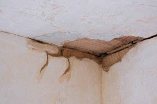 Best Water damage restoration near me  in Doral, FL