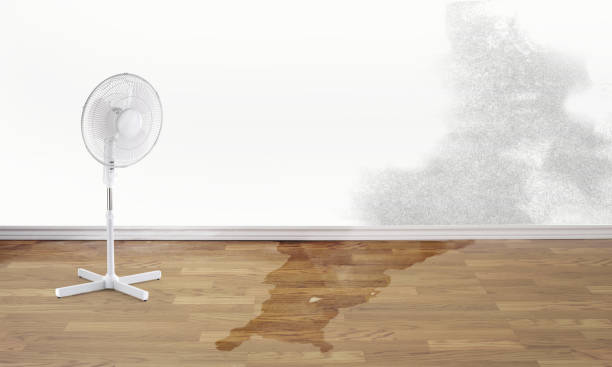 Best Water damage mitigation services  in Doral, FL
