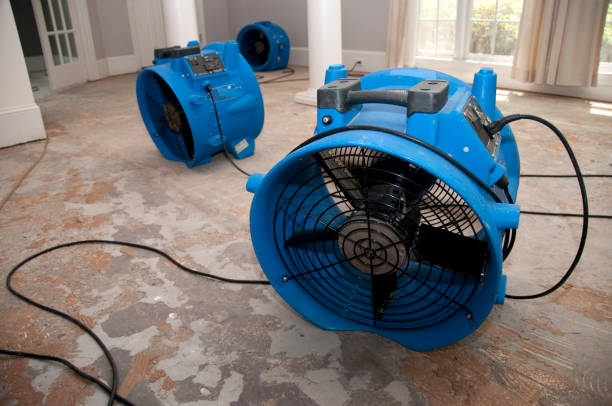 Best Water damage restoration near me  in Doral, FL