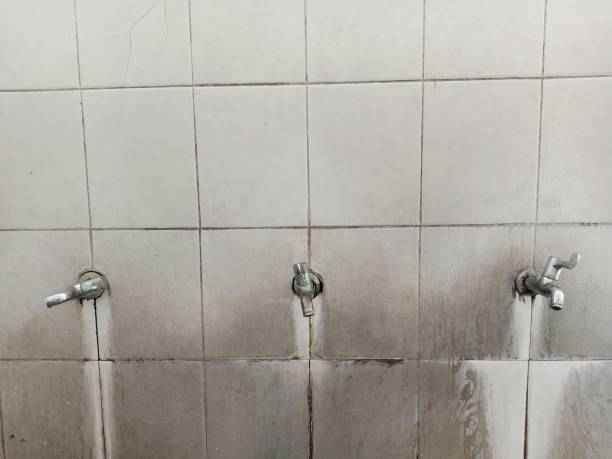 Best Sewage cleanup and water damage restoration  in Doral, FL