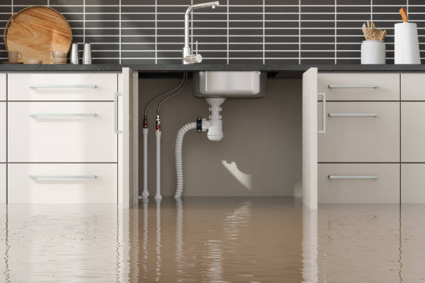 Best Residential water damage restoration  in Doral, FL