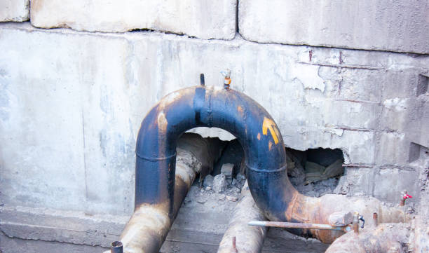 Best Mold removal after water damage  in Doral, FL