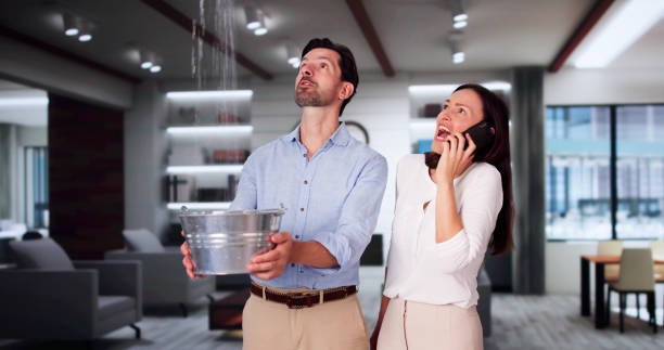 Best Carpet water damage restoration  in Doral, FL