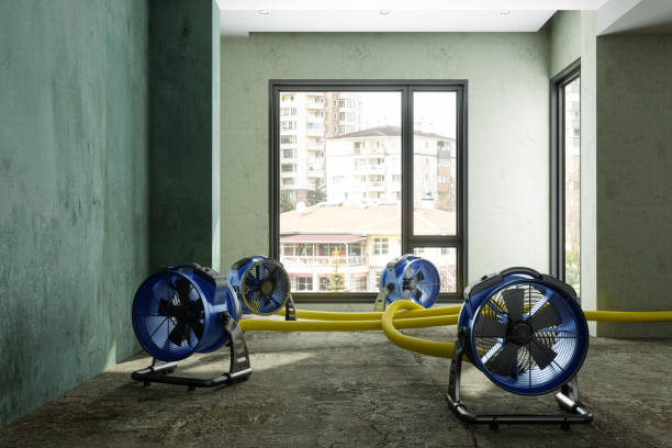 Best Fire Damage Restoration  in Doral, FL