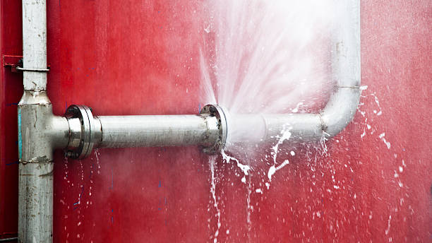 Best Flood restoration services  in Doral, FL